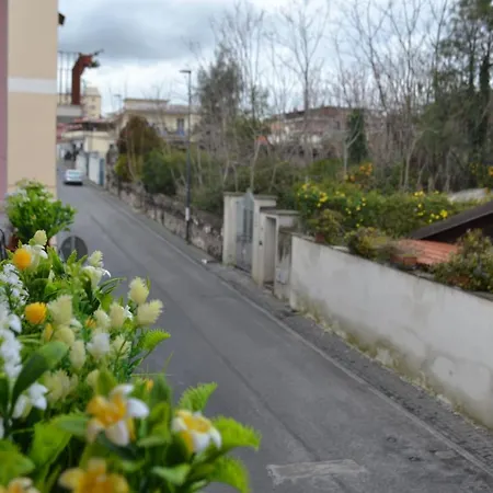 Casa Di Lauro